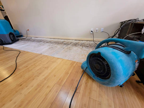 Professional Ceiling Water Damage Repair technician working in Warren, MN